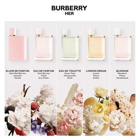 burberry matching family outfits|Burberry her fragrance.